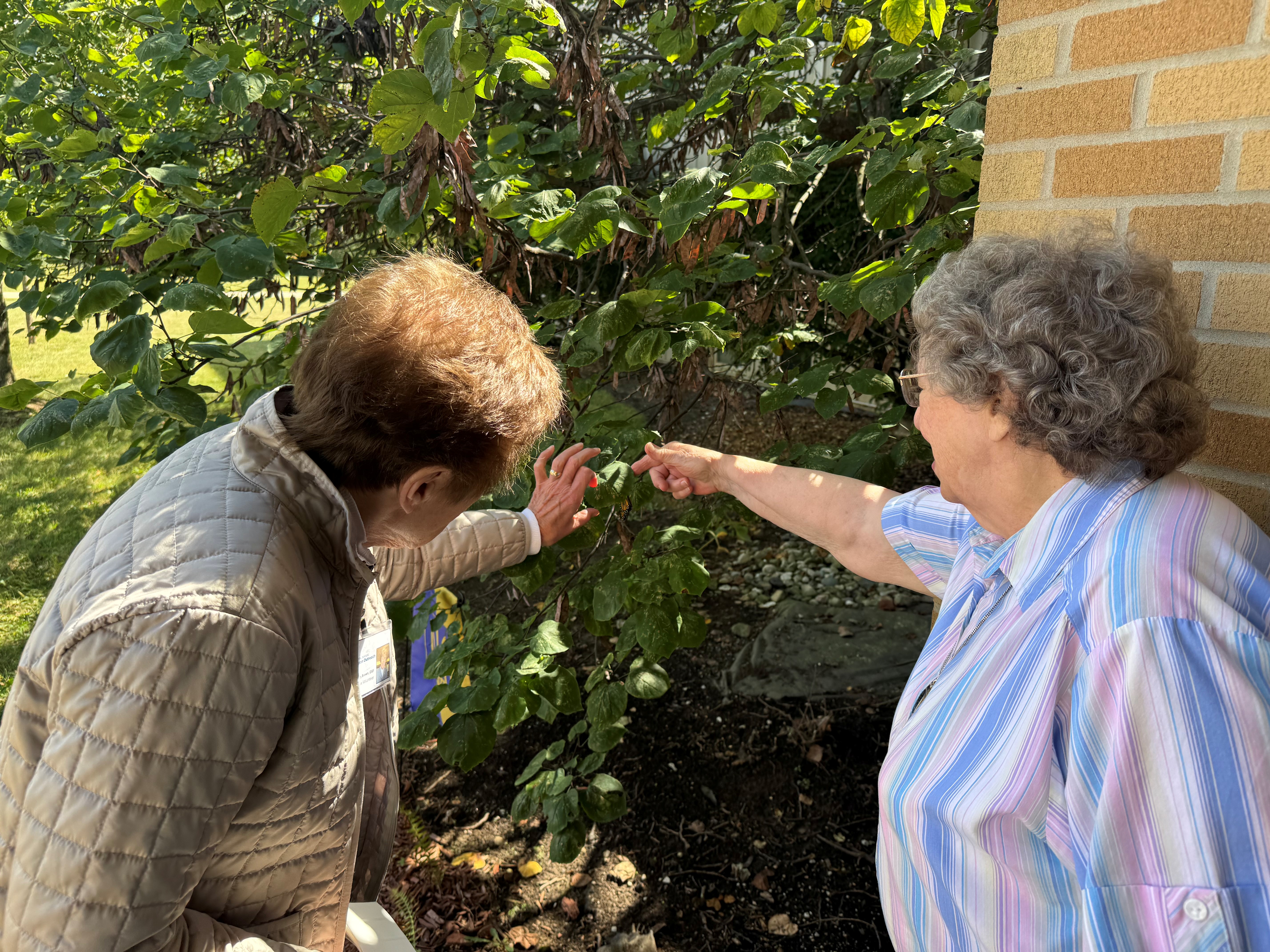Hospital Sisters checking out a butterfly 