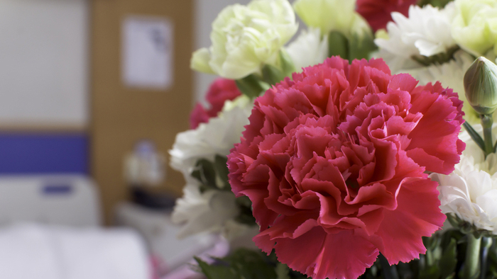 Pretty pink and white carnations