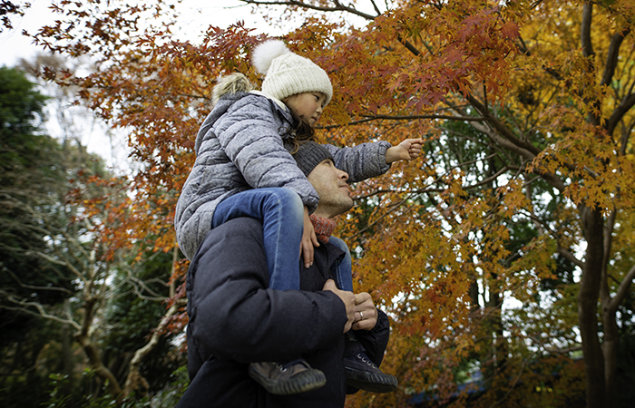 Young girl on dad's shoulders walking through woodland