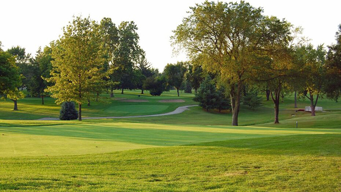 Landscape of The Country Club of Decatur