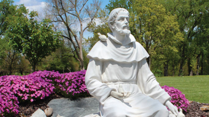 St. Francis Statue surrounded by purple flowers
