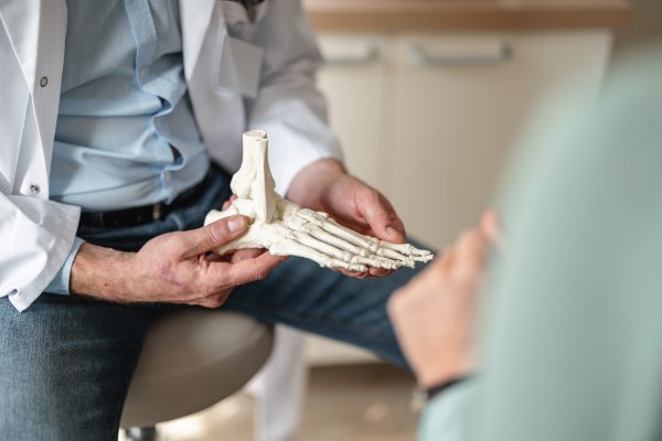 doctor holding skeleton of foot