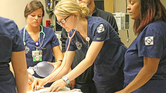 Nursing students working with a simulation patient doll