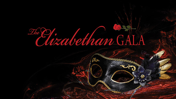 Elizabeth Gala Save the Date for November 6, 2026
