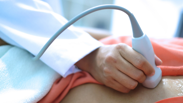 Medical hands holding ultrasound wand