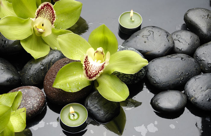 A Water Lilly grows through black rocks in a pond