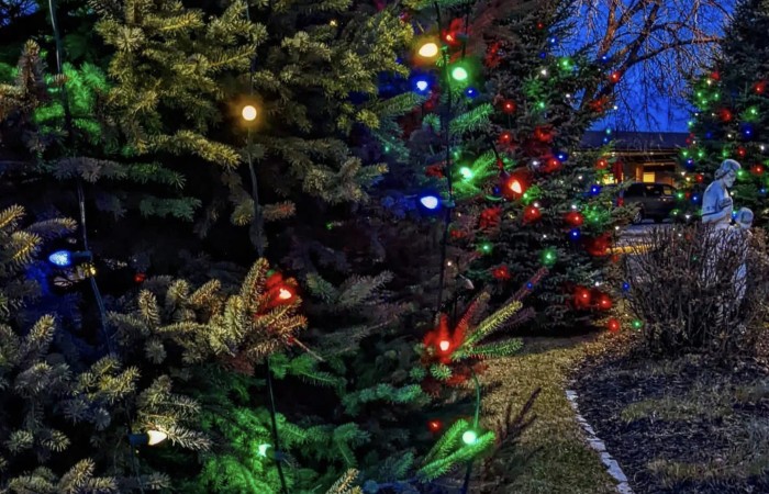 HSHS hospitals honor loved ones during the holiday season