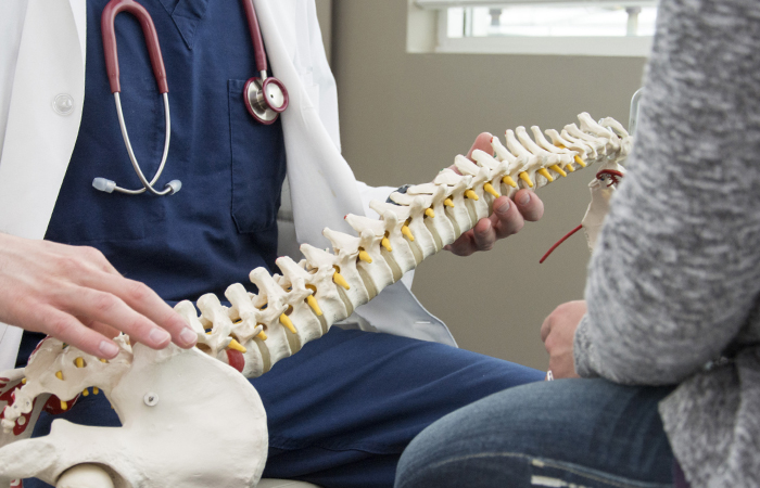 doctor holding a model of a human spine sitting in front of a patient