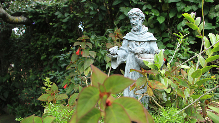Marble statue of St. Francis holding bird surrounding my rich greenery