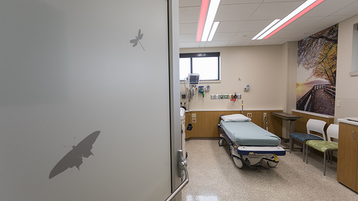 Peds ED Room