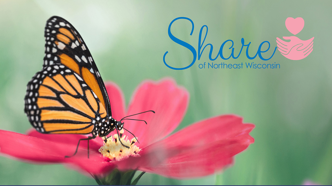 Monarch butterfly on a flower with the SHARE of Northeast Wisconsin logo