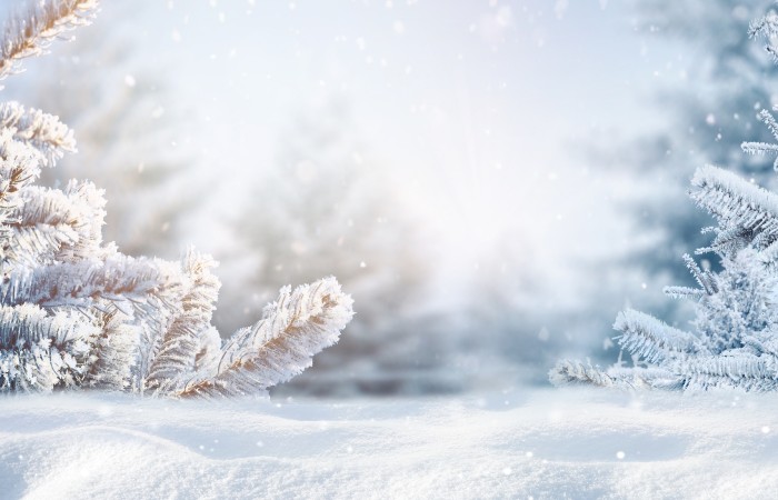 Ways to maintain and protect your health during the cold winter months  