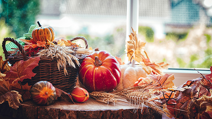 Hospital Partners Wish for Autumn with Annual Fall Fling