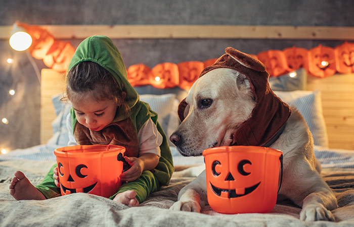 Tips for a safe Halloween
