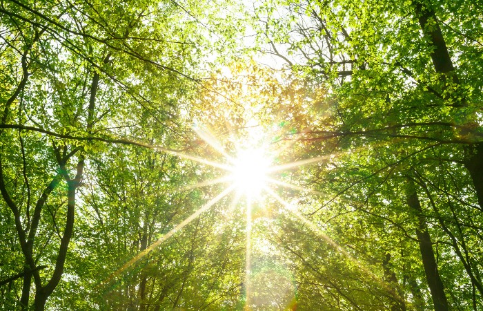 Sun Safety reminders from HSHS hospitals