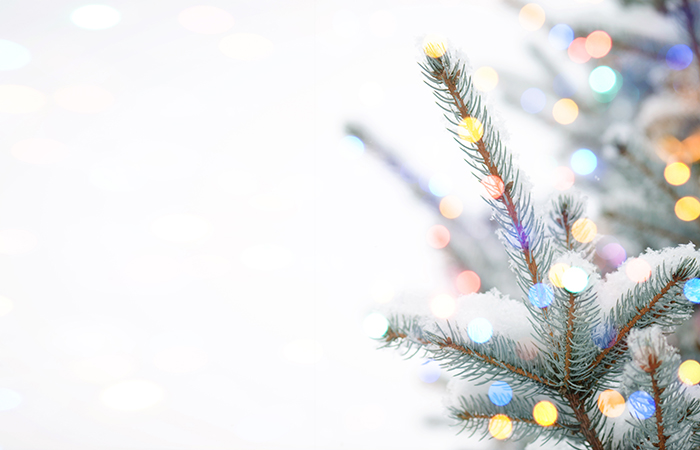 wintery christmas tree on a white background