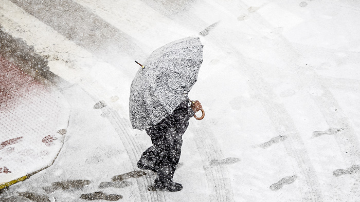 Person with umbrella walking in snow. 