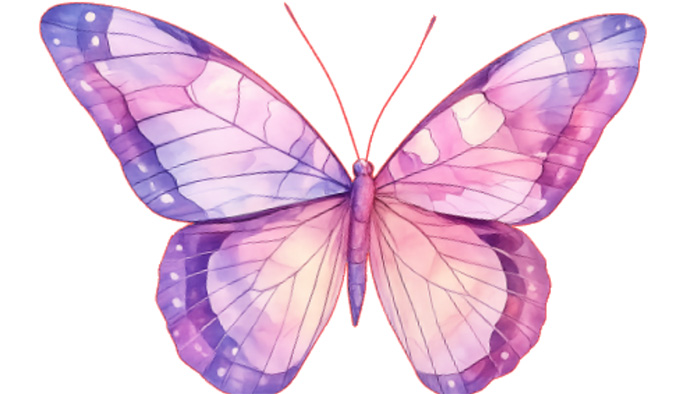 Vendors and community resource exhibitors wanted  for HSHS St. Francis Women’s Health Survival Guide