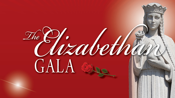 Elizabeth Gala Save the Date for November 3, 2023