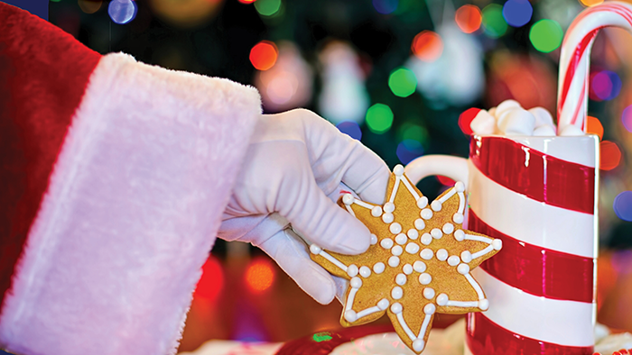 Santa reaching for cookie