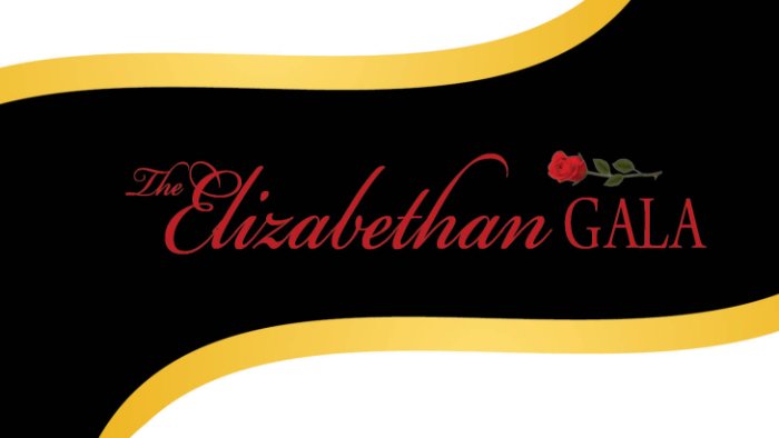 Elizabeth Gala Save the Date for November 3, 2023