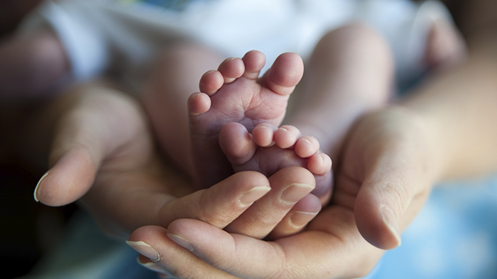 Tiny baby feet held in hands