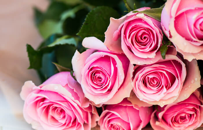bouquet of flowers