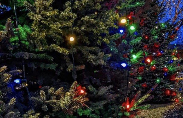 HSHS hospitals’ Love Lights tree lighting ceremonies to be held in December to honor loved ones