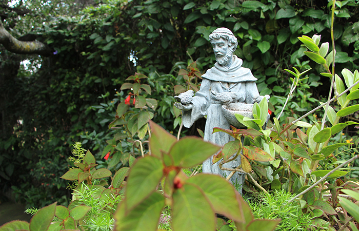 Blessing of Animals October 6