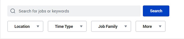Careers Application Search Bar